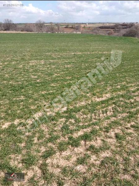 BABAESKİ ERİKLERYURDU KÖYÜNDE YERLEŞİME YAKIN 2.325 M2 TARLA
