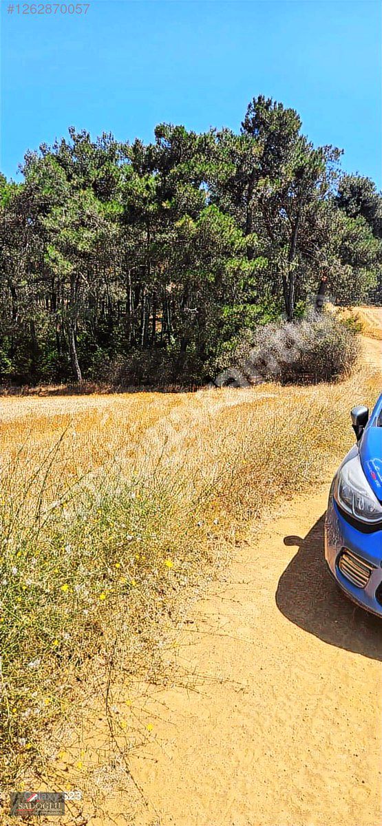 KEŞAN PIRNARKÖY DE GÖKÇETEPE SAHİLE 8 KM TEK TAPU 17.628 M2 TRLA