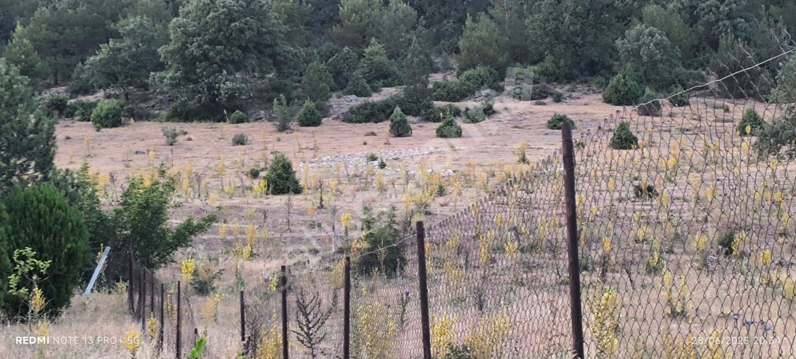 Bursa Orhaneli Deliballılar mhde satılık tarla