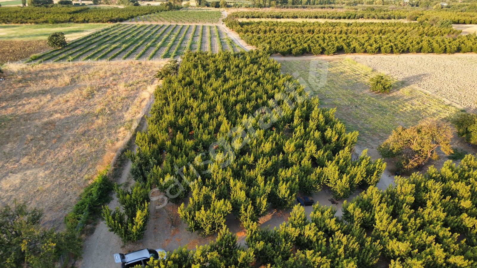 MUSAKÖY'DE 3078 m2 DENİZ TARAFINDA ŞEFTALİ TARLASI HAN EMLAKTAN