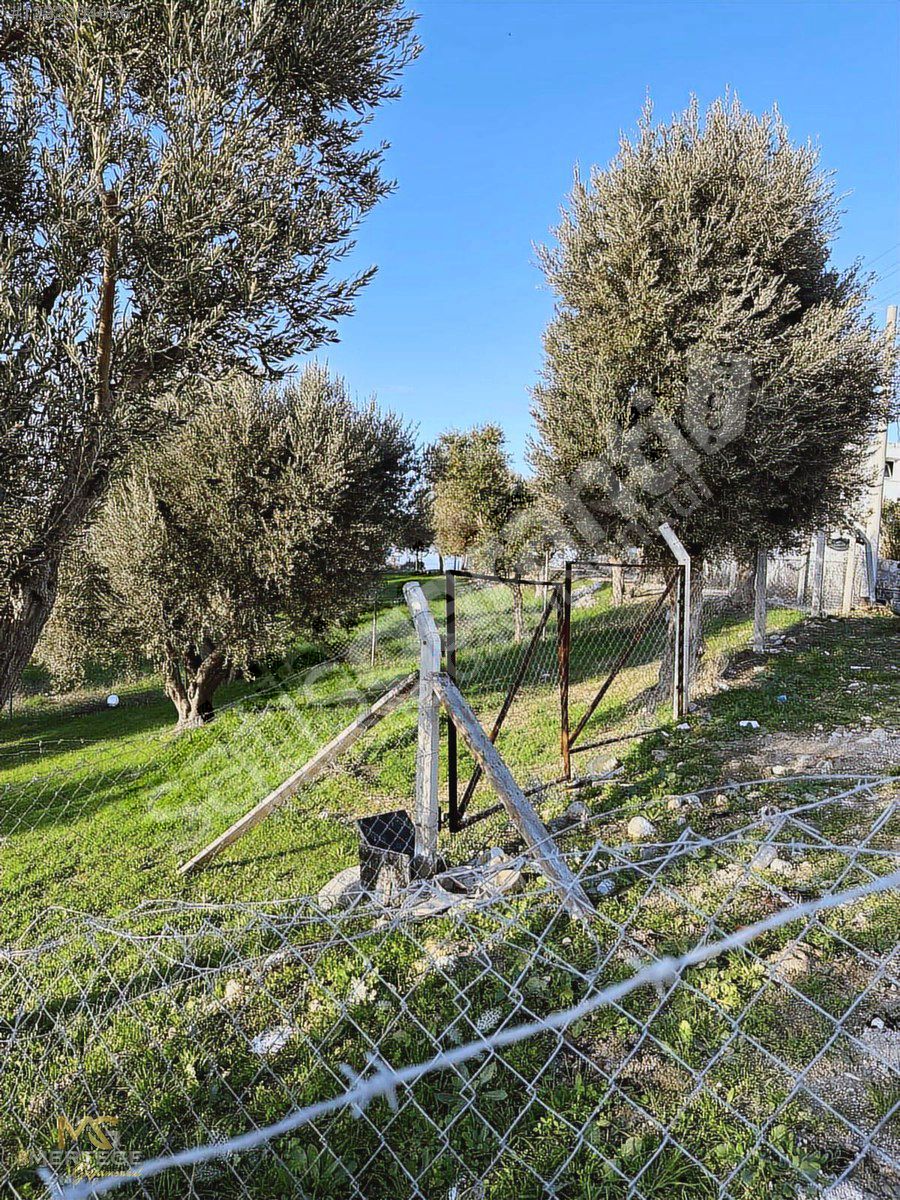 GÜLBAHÇE MERKEZDE 328 mt kare 15/30 KONUT İMARLI ARSA