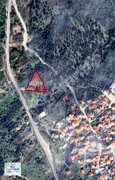 İzmir Bergama Koyuneli'nde Satılık Zeytinlik