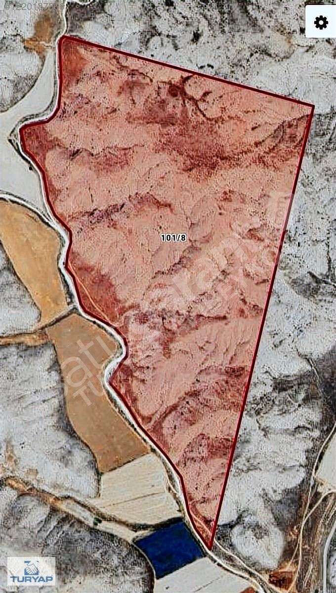 Turyap'tan Satılık Ankara Beypazarı 389 Dönüm Arazi