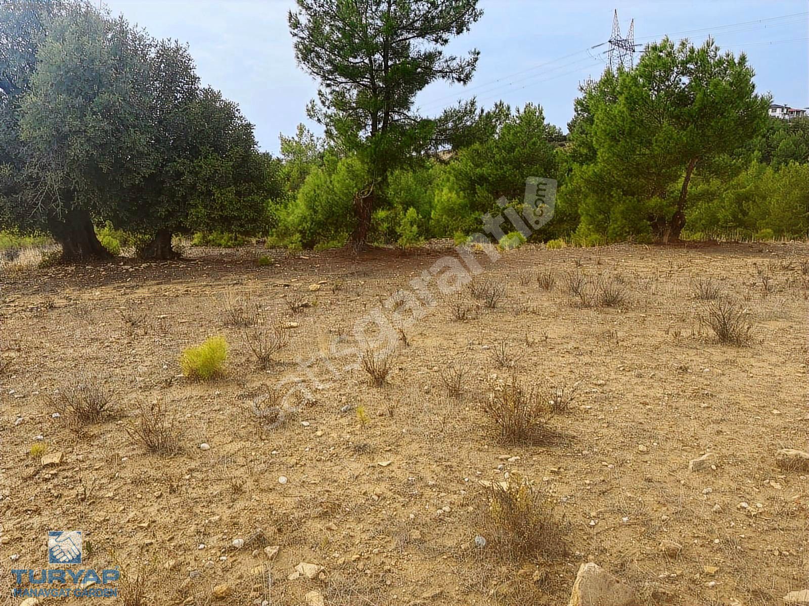 MANAVGAT HACIİSALI MAHALLESİN'DE SATILIK TARLA