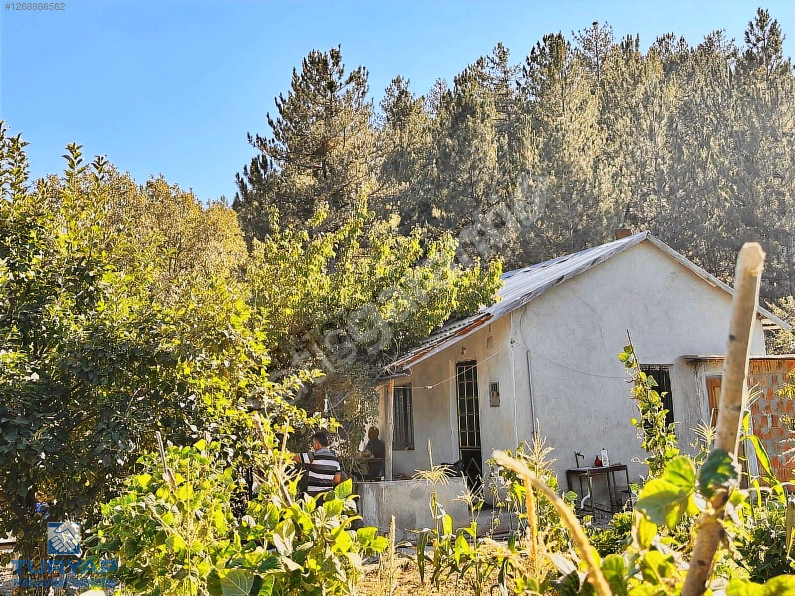 KONYA BEYŞEHİR ÜZÜMLÜ'DE 3.595M² SATILIK MÜSTAKİL TEK TAPU TARLA