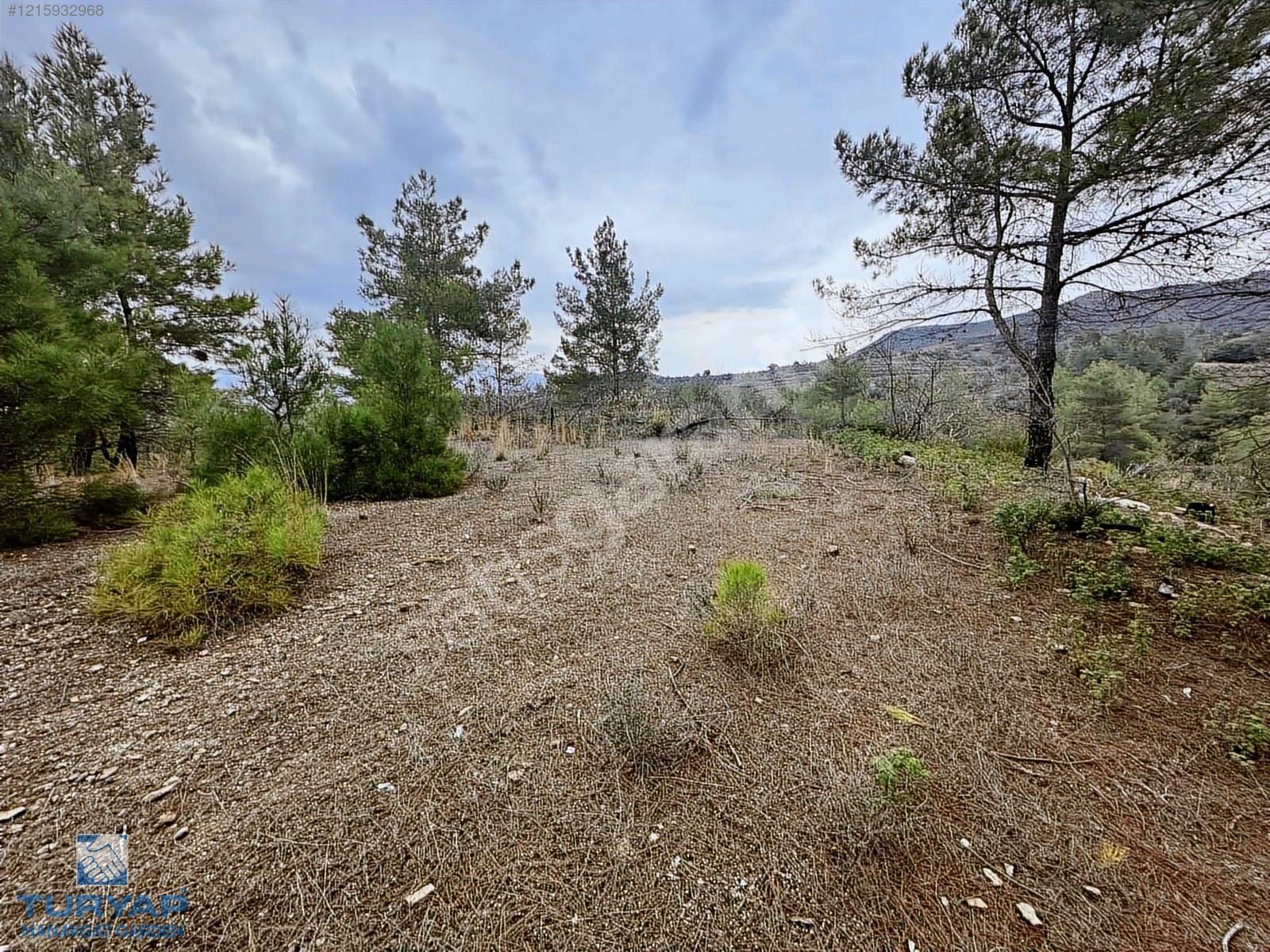 Manavgat Hacıisalı mh satılık tarla
