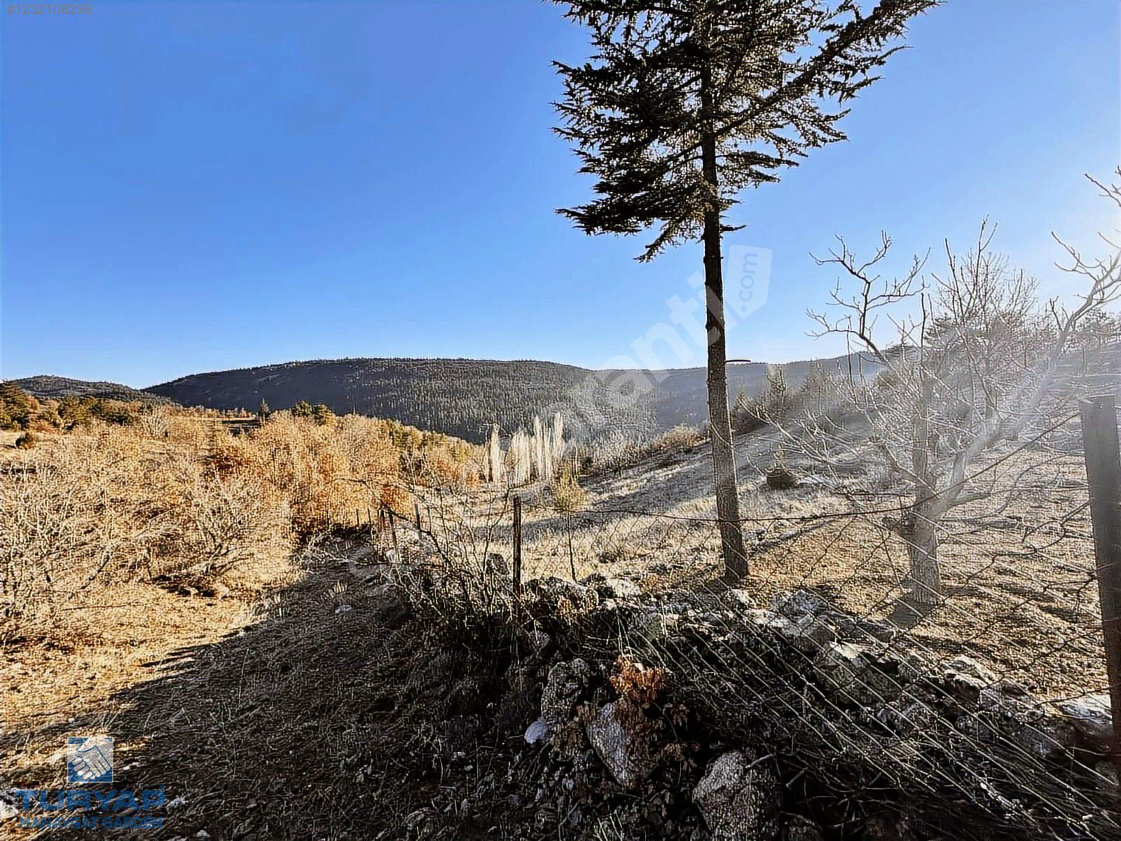 BEYŞEHİR ÜZÜMLÜ 3514 M2 MÜSTAKİL TAPULU SATILIK TARLA