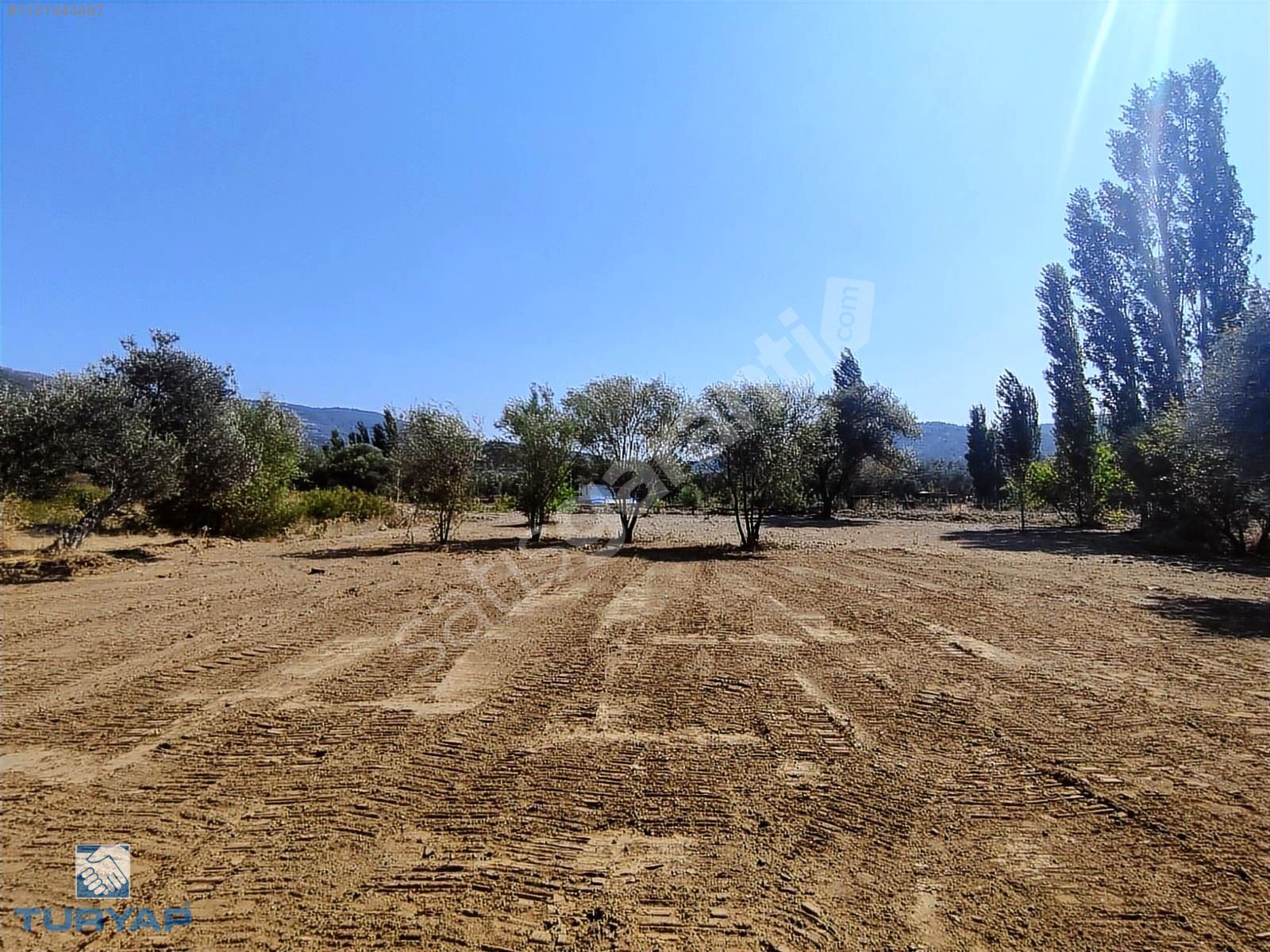Turyap'tan Köye Yakın 2120 m2 Tarla Hobi Bahçesi