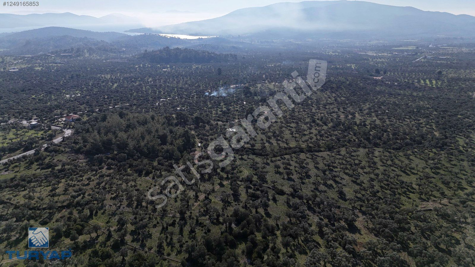 muğla milas bozbukte 2 parselden oluşan toplam 72 dönüm tarla