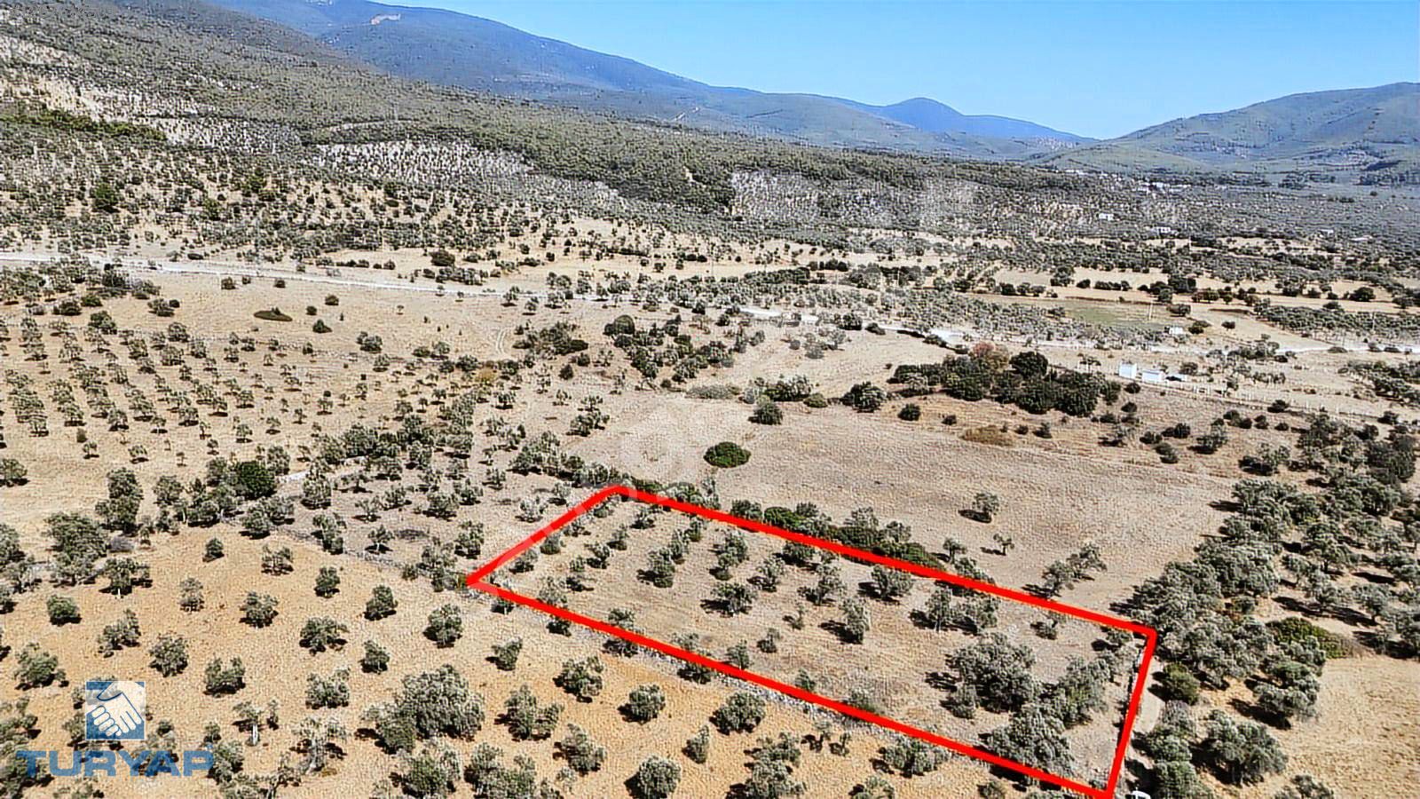 Milas Kazıklıda imar çalışmalarının içerisinde 4.657 m² Tarla
