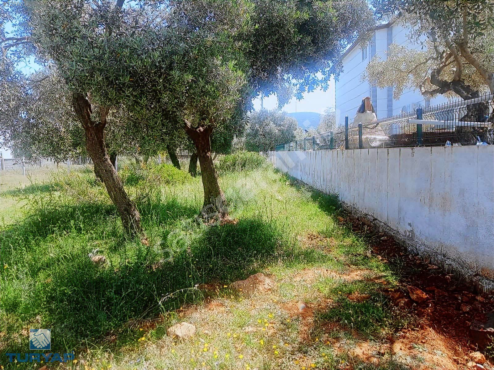 Didim Kardelende Satılık Villa Arsası
