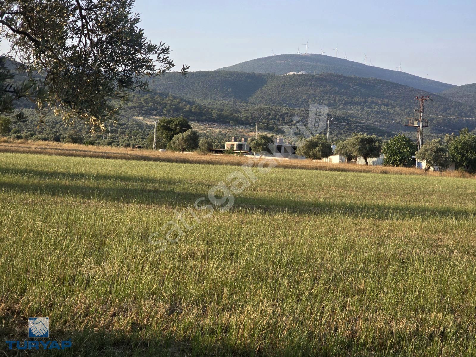 Milas Bozbük'te imar içerisinde denize 700 metre mesafede tarla