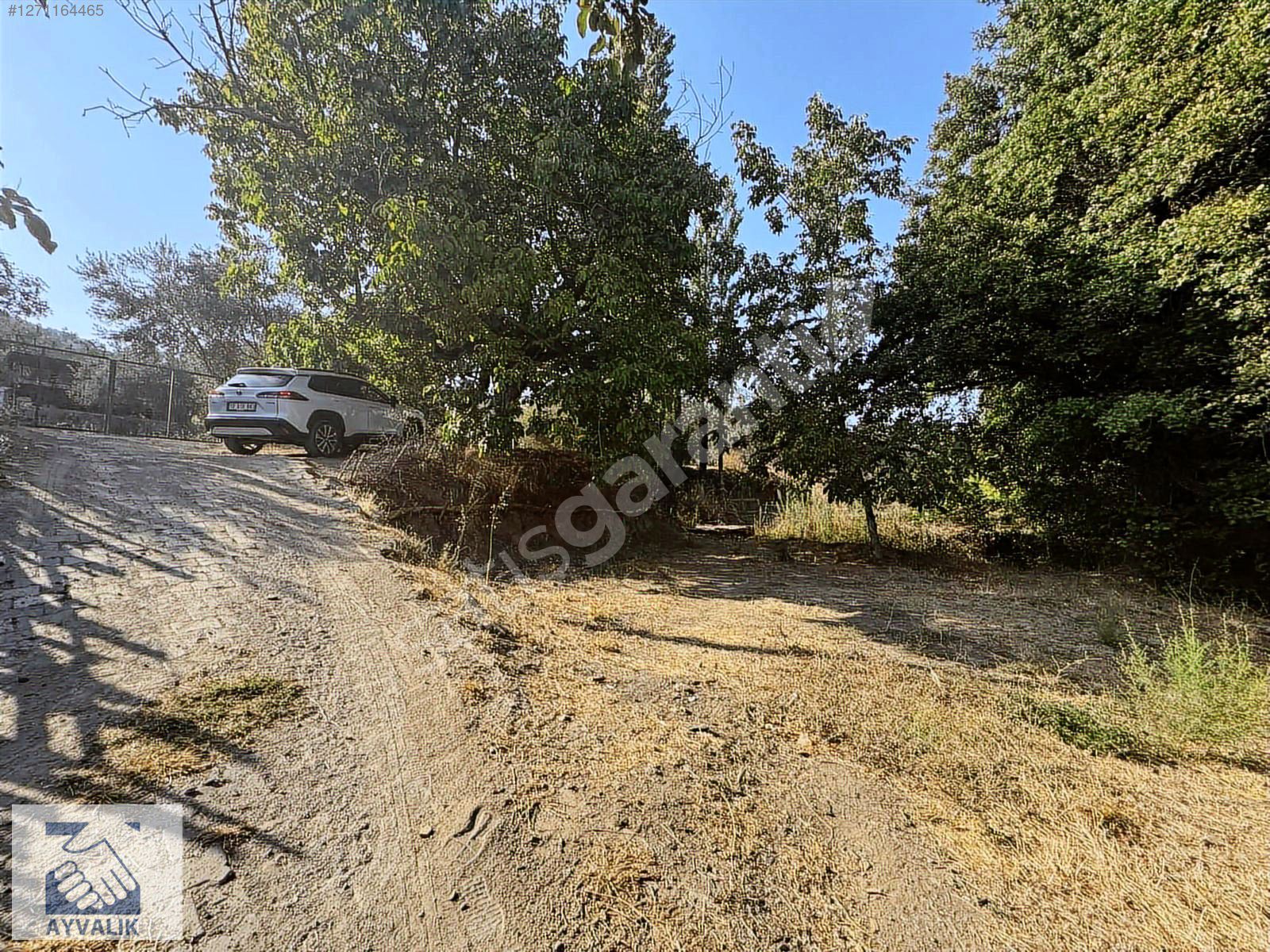 Turyap Ayvalık'tan Edremit-Dereli'de 671m2 Derelenarı bahçe