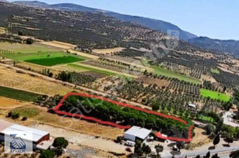 Turyap Ayvalık'tan İzmir yolu üstünde
