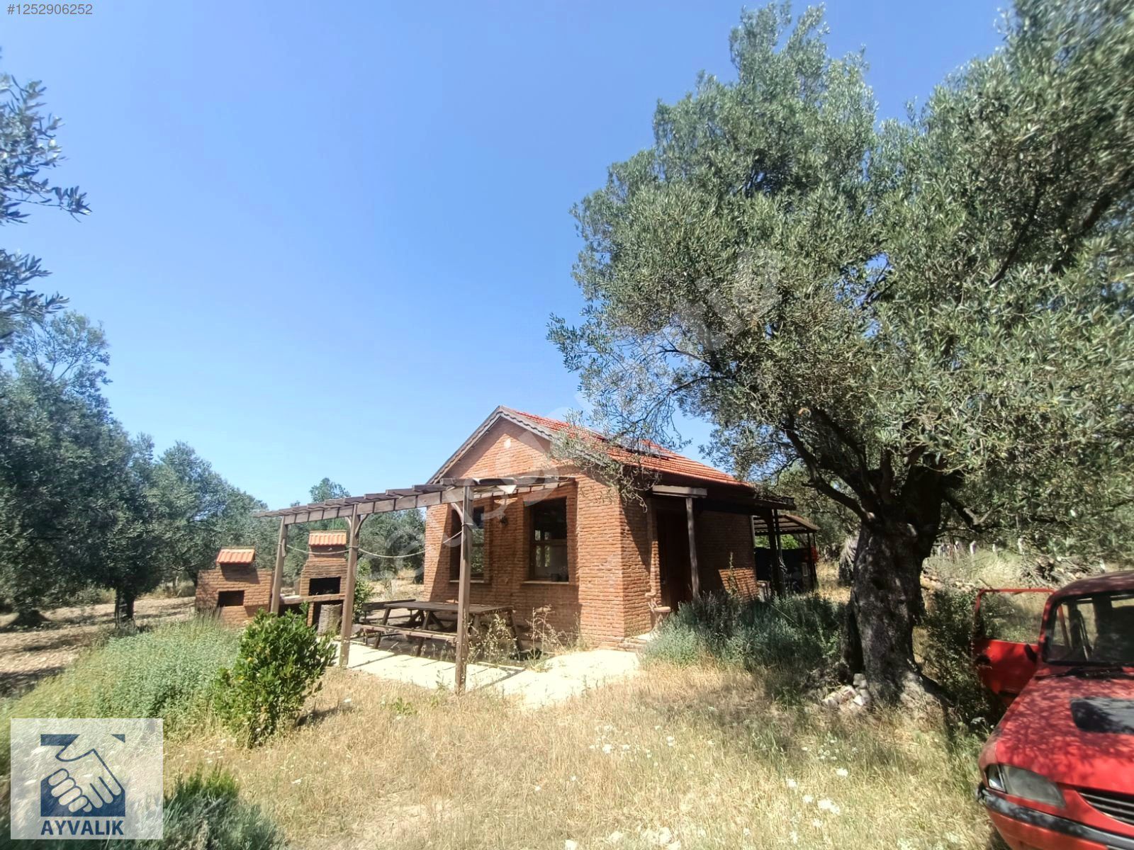 Turyap'tan içinde yapı olan 12536m2 zeytinlik