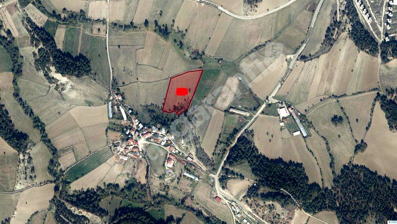 Satılık Mudurnu Burj Al Babas'ın Yanında 13.000 Mt2 Arsa