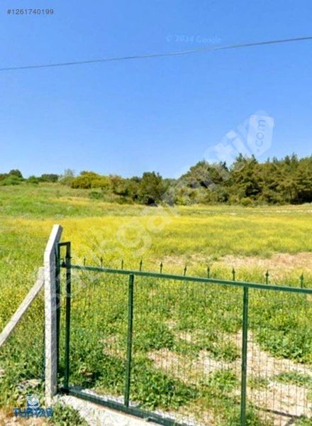AYRANCILAR SUYUNBAŞI MESİRE ALANI SATILIK MUHTEŞEM KONUM TARLA