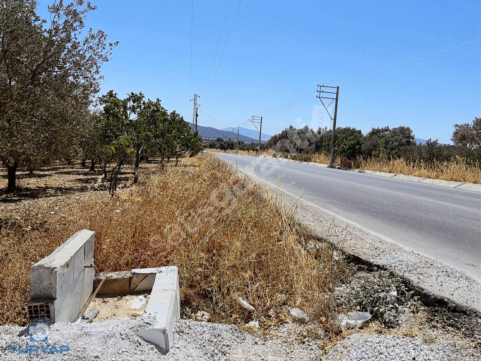 Torbalı Sahipler Köyünde 4870m2 Satılık Tarla ve Zeytinlik