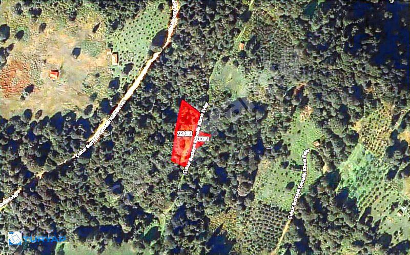 Şalpazarı Sütpınar Köyünde Satılık İki Arsa toplam 1,326.96 m2
