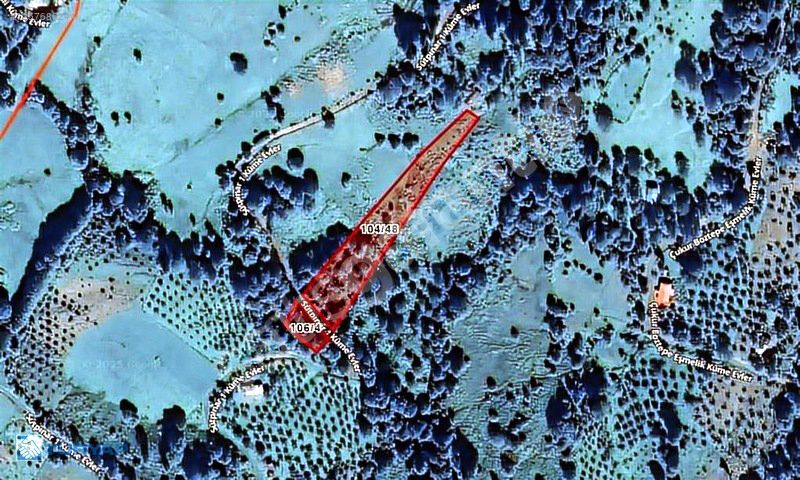 Şalpazarı Sütpınar Köyünde Satılık İki Arsa toplam 3,007.84 m2