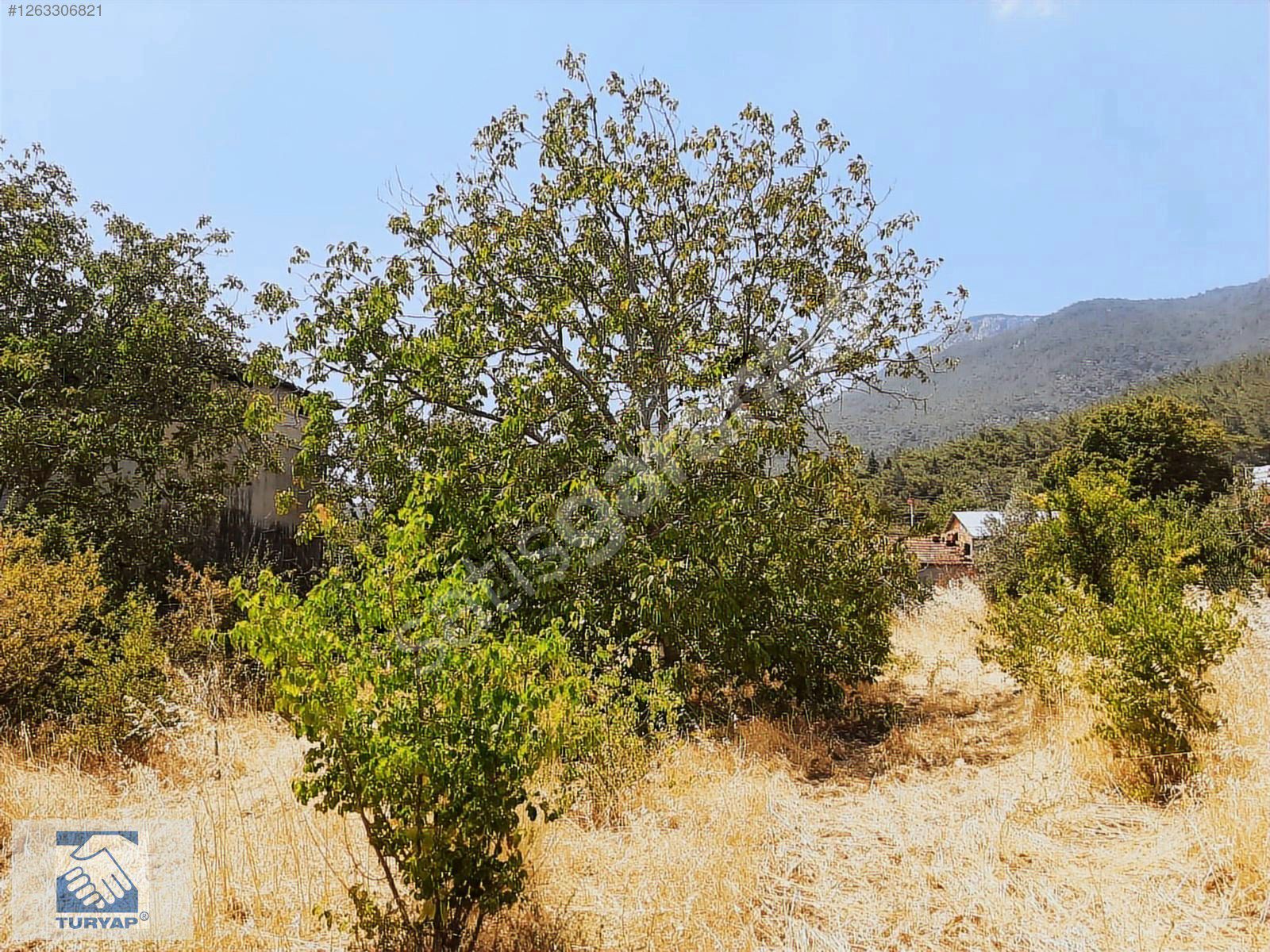 Kemalpaşa Vişneli Köyü Satılık 1500m² Bahçe