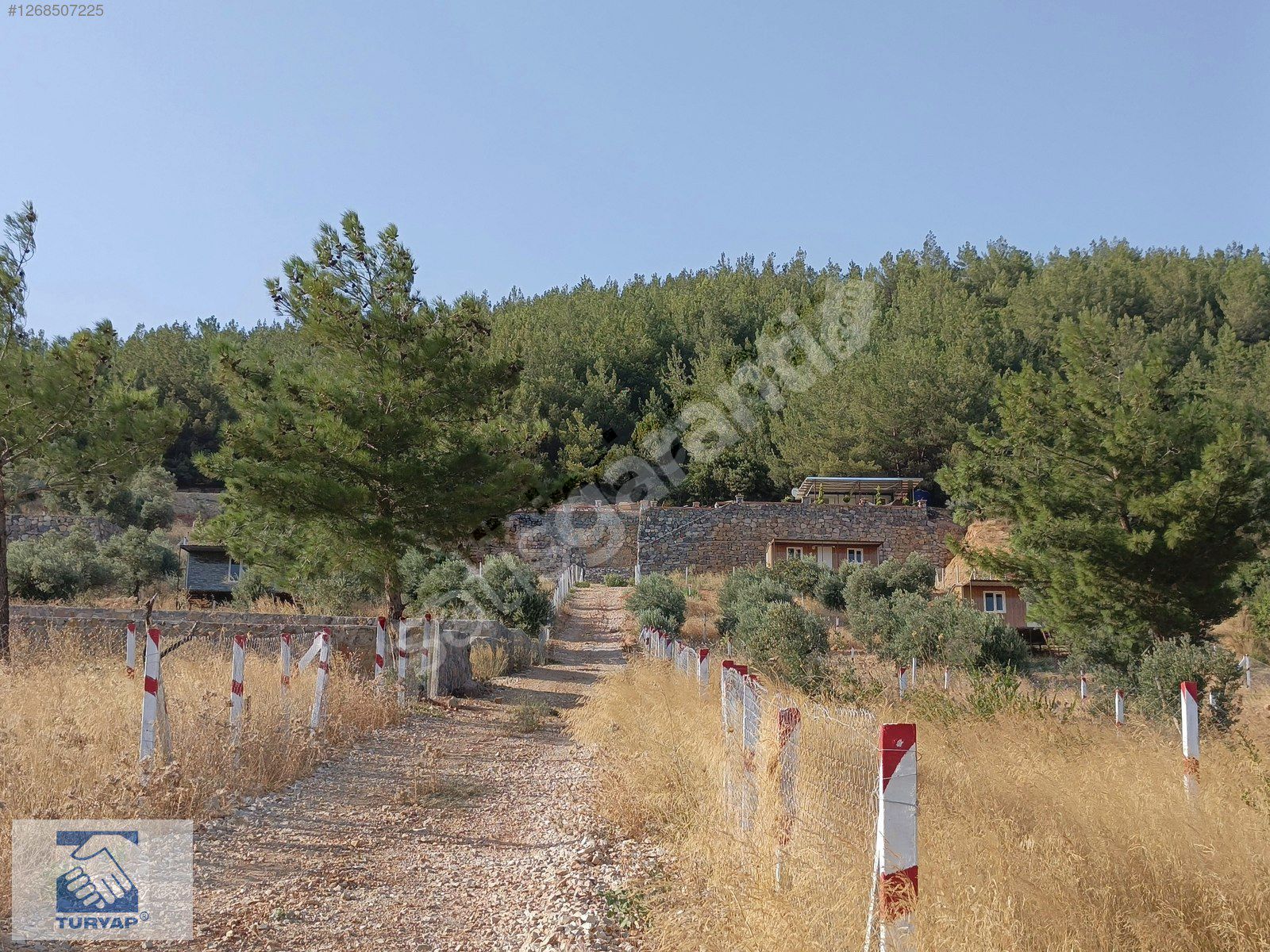 Kemalpaşa Vişneli Satılık 415 m2 Bahçe