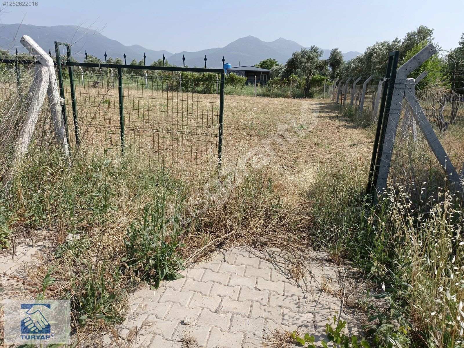 Kemalpaşa Aşağıkızılça Satılık 1679m2 Bahçe