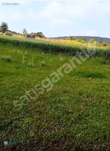 TURYAP ESKİŞEHİR ÇALKARA SATILIK ARAZIİ