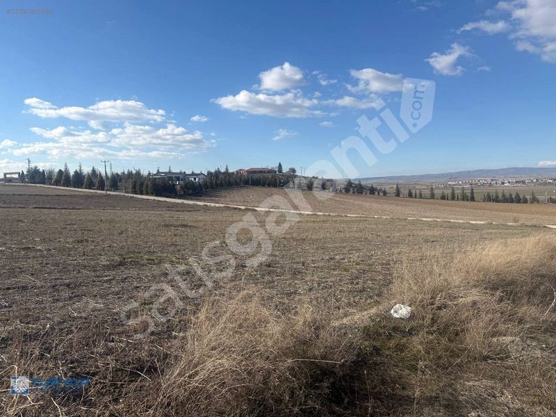 TURYAP'TAN KARABAYRDA CADDE ÜZERİNDE SATILIK 3700M2 SATILIK ARSA