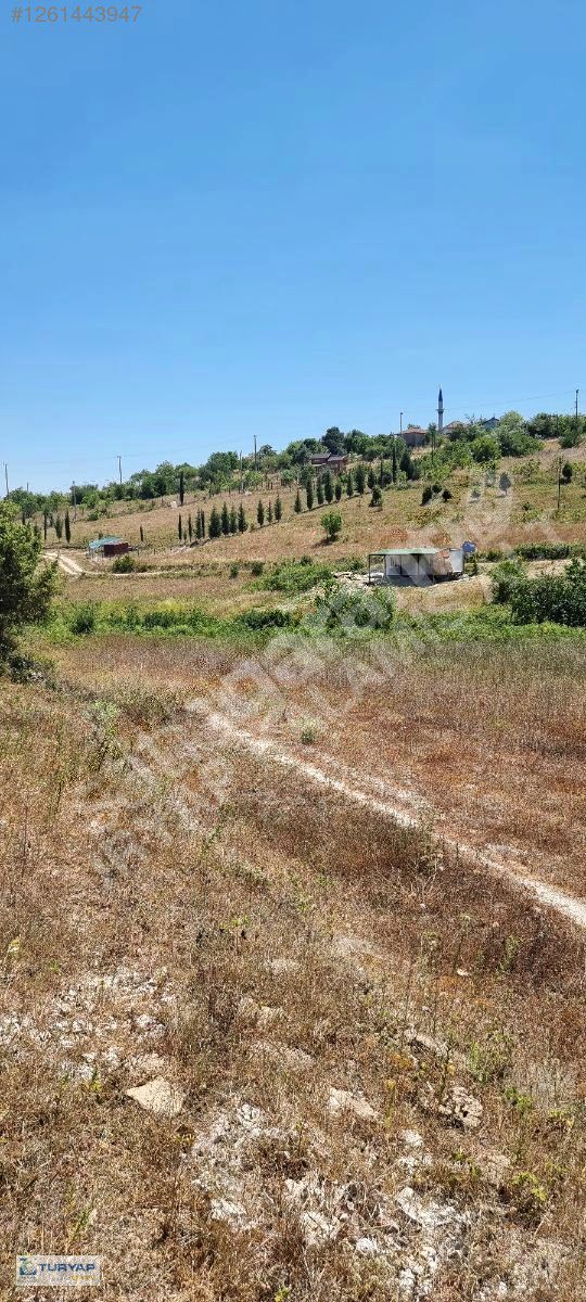 gebze durak'lı köyünde imar bölgesinin yanı başında
