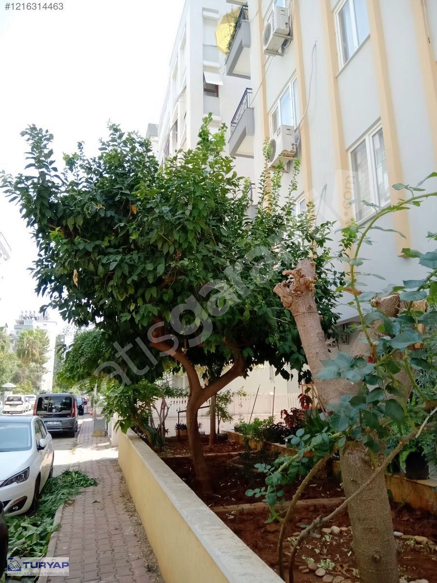 ALTINKUMDA TADiLATLI DENİZE YAKIN MASRAFSIZ 2+1 KATTA TEK DAİRE