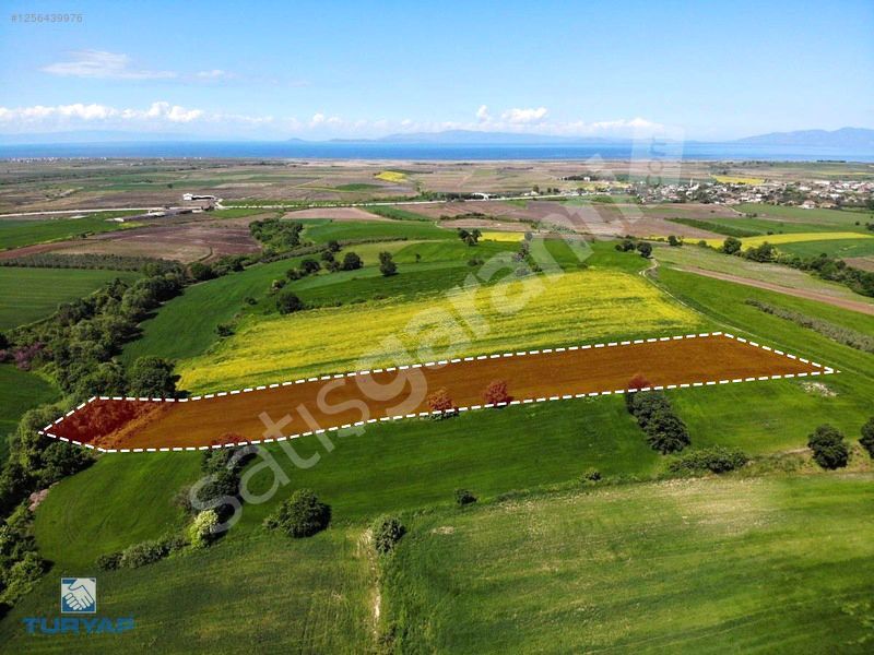 ÇANAKKALE BİGA GÜVEMALAN'DA 8.795 M2 DENİZ MANZARALI TARLA