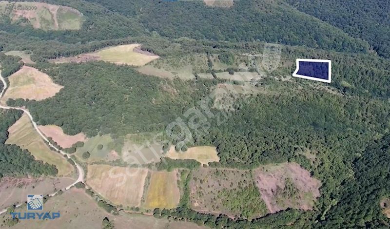 ÇANAKKALE BİGA DİKMEN KÖYÜ 3.800M2 SATILIK TARLA