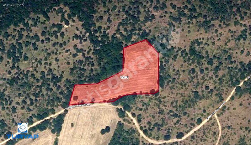 KIRKLARELİ MERKEZ YÜNDALAN 10.450M2 SATILIK TARLA