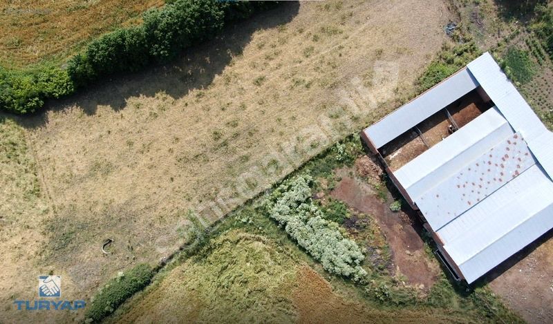 ÇANAKKALE BİGA AHMETLER KÖYÜ 21.028M2 SATILIK ÇİFTLİK