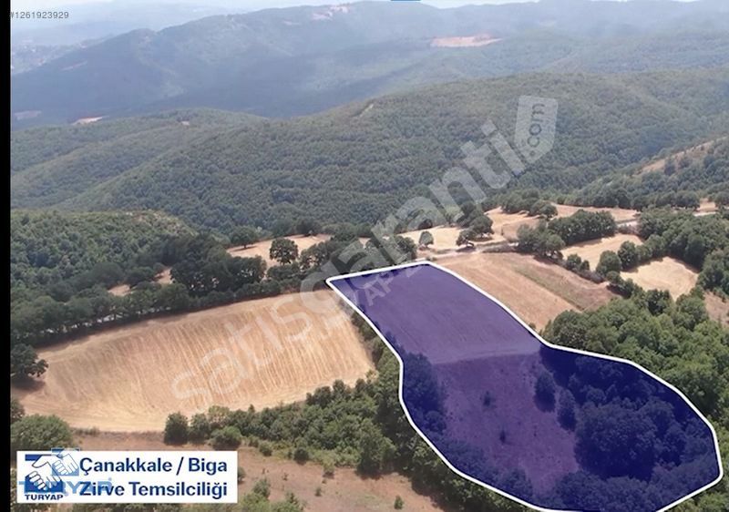 ÇANAKKALE BİGA SARISIVAT KÖYÜ 11.863 M2 SATILIK FIRSAT TARLA