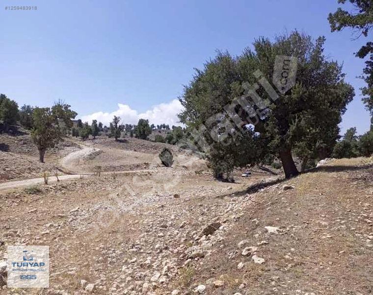 Turyap'tan Mersin Gülnar Köyü Mevki Yatırımlık Tarla