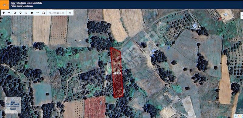 TURYAP'TAN ÇAMDİBİNDE YOLA SIFIR TEK TAPU 2.705 M2 SATILIKK