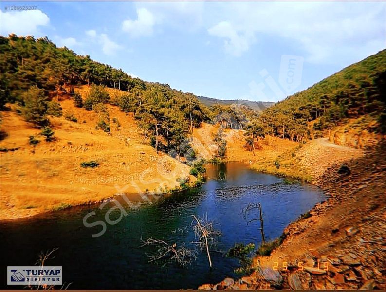 TORBALI KARAKIZLAR MAHALESİNDE 10058 M2 TEK TAPU SATILIK ZEYTİNL