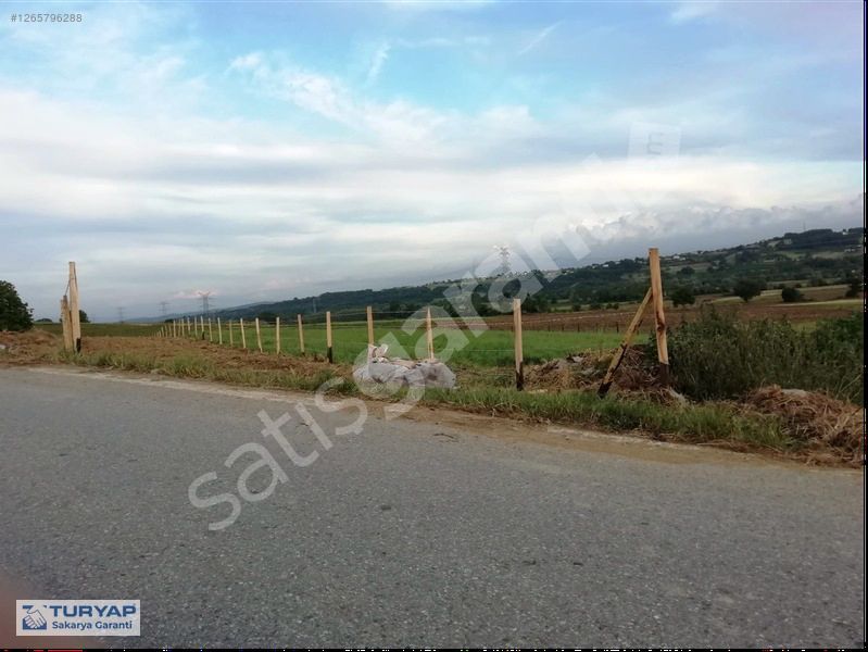 ADAPAZARI ÖRENTEPE DE YOLA CEPHE TARLA