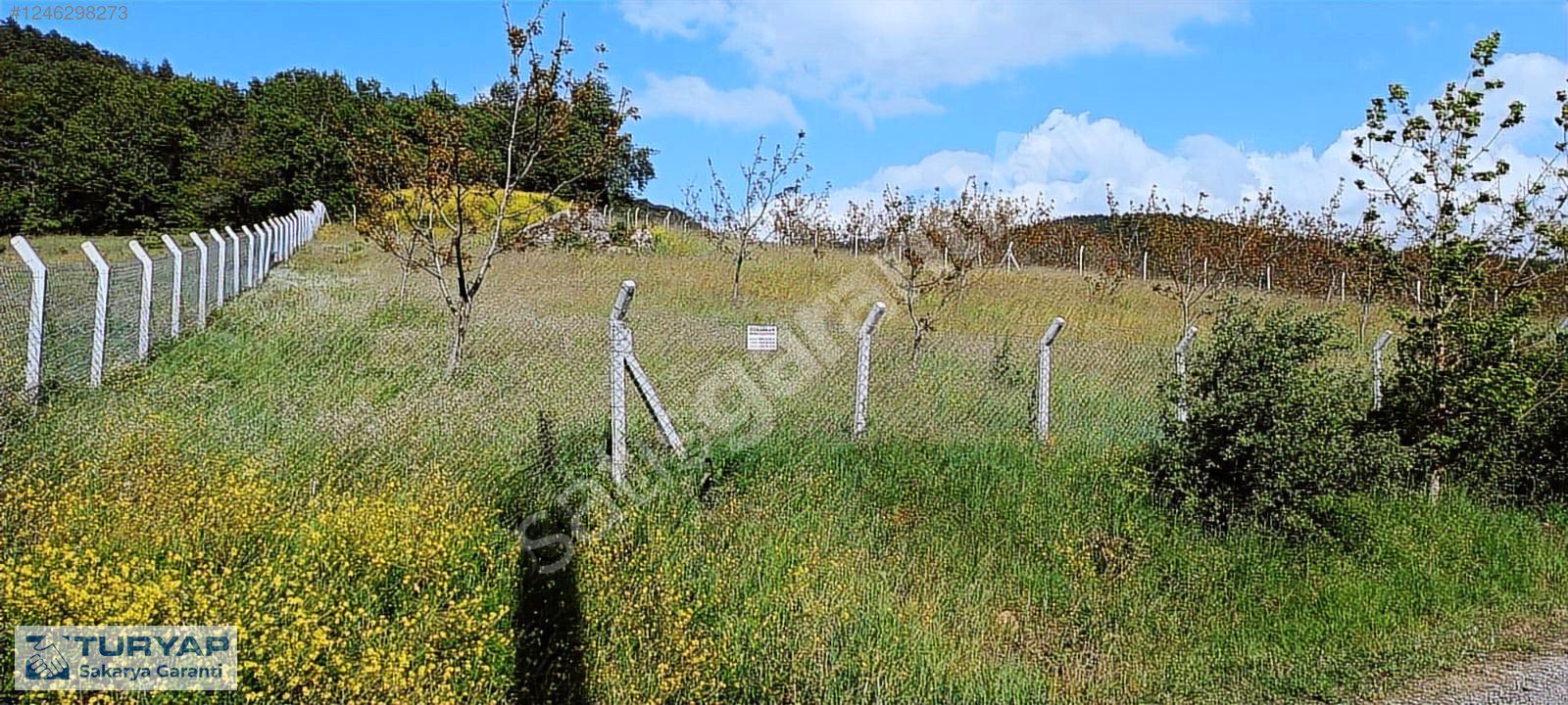 Pamukova Ağaççılar'da 48 m Yola Cephesi Olan Satılık Tarla