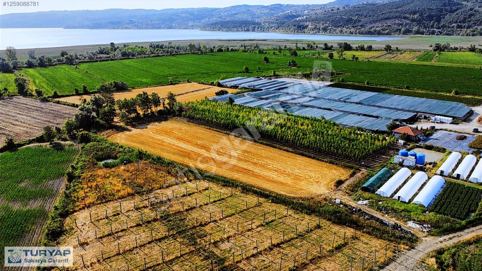 SAKARYA ARİFİYE ARİFBEY MAHALLESİ SATILIK TARLA