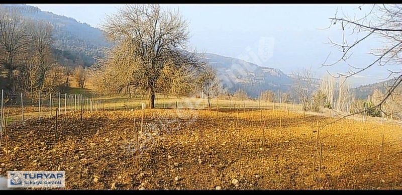 GEYVE DEMİRLER MAHALLESİNDE MEYE AĞAÇLARI İLE DOLU FIRSAT TARLA