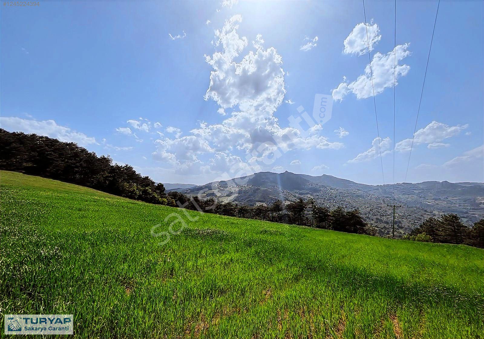 ACİL SATILIK! FİYAT DÜŞTÜ!!! GEYVE CECELER'DE 3492 M2 TARLA