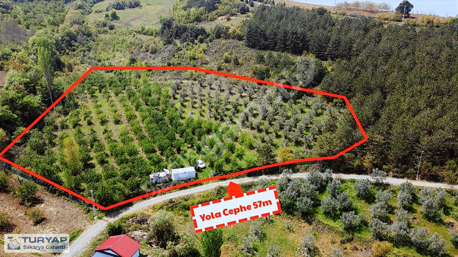 Geyve-İhsaniye Mah Yola Cepheli Konteynerlı 8430 m' Bahçe