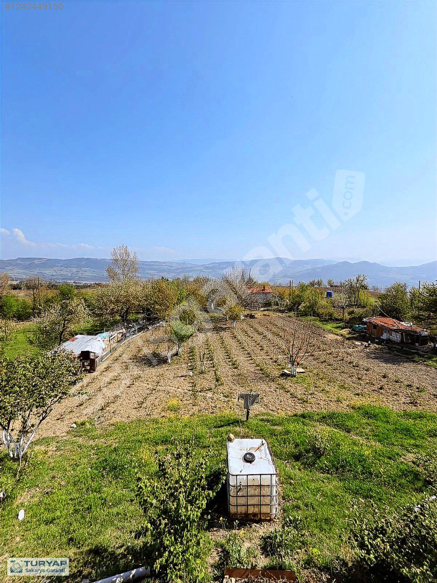 SAKARYA GEYVE SÜTALANDA 3296 M2 ACİL SATILIK MÜSTAKİL EVLİ BAHÇE