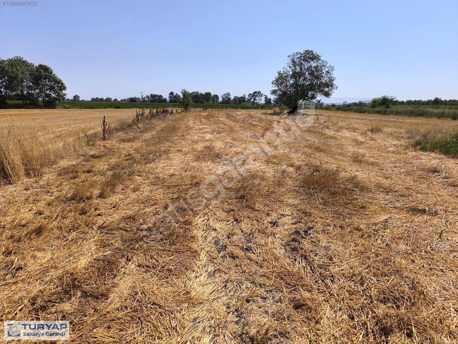 Yola Cepheli Yerleşime Yakın SATILIK 3236 m2 ARSA
