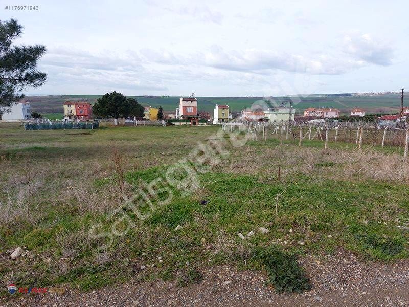 TEKİRDAĞ KARAEVLİ SATILIK 148 M2 KONUT İMARLI ARSA