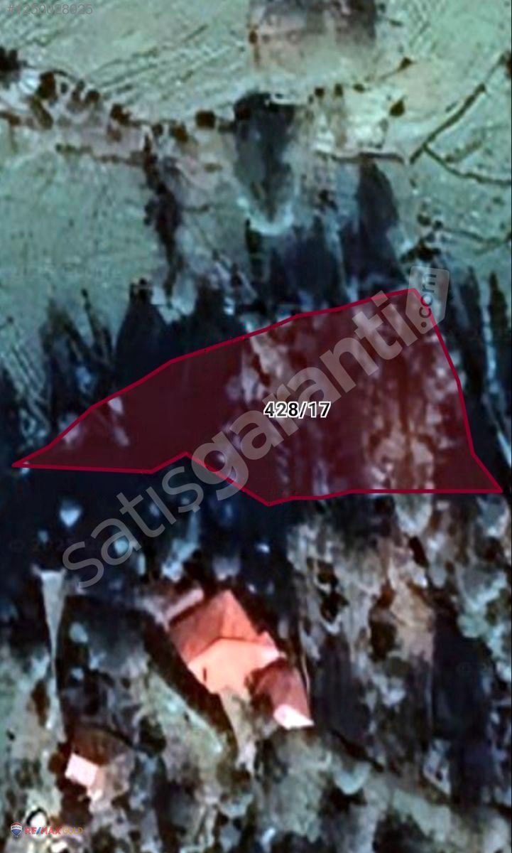 Artvin Arhavi'de 1690 M2 Satılık Tarla