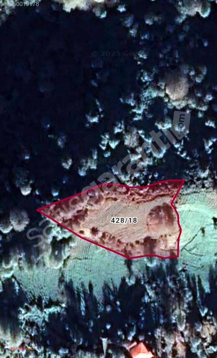 Artvin Arhavi'de Yatırımlık 4799 M2 Verimli Çay Bahçesi Satılık